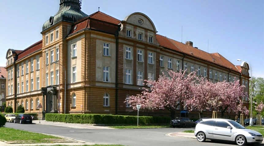 Silesian University in Opava msmstudy.eu